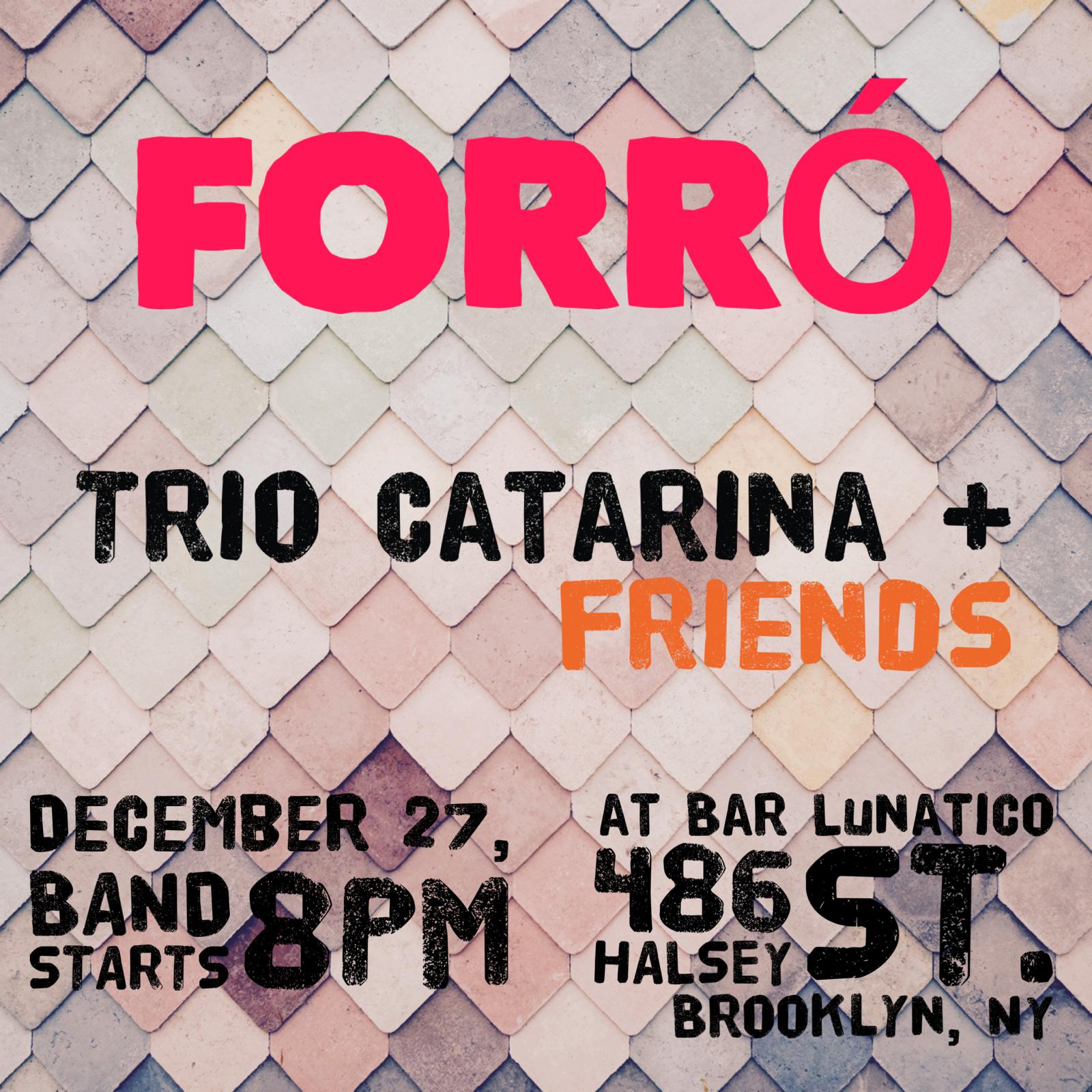 Forró with Trio Catarina and friends, Thursday Dec 27, 8PM. At bar lunatico 